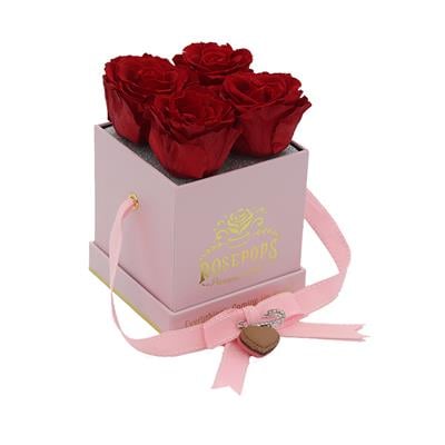 2-fc3ed07d-feac-47f8-8572-69d7daf2bf23